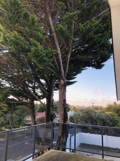 “Henderson Dream Guest House” Auckland Exteriör bild